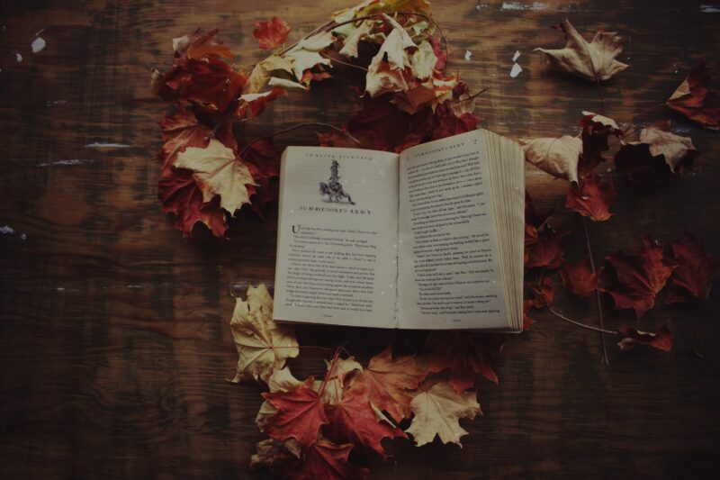 Fantasy Bücher für Jugendliche